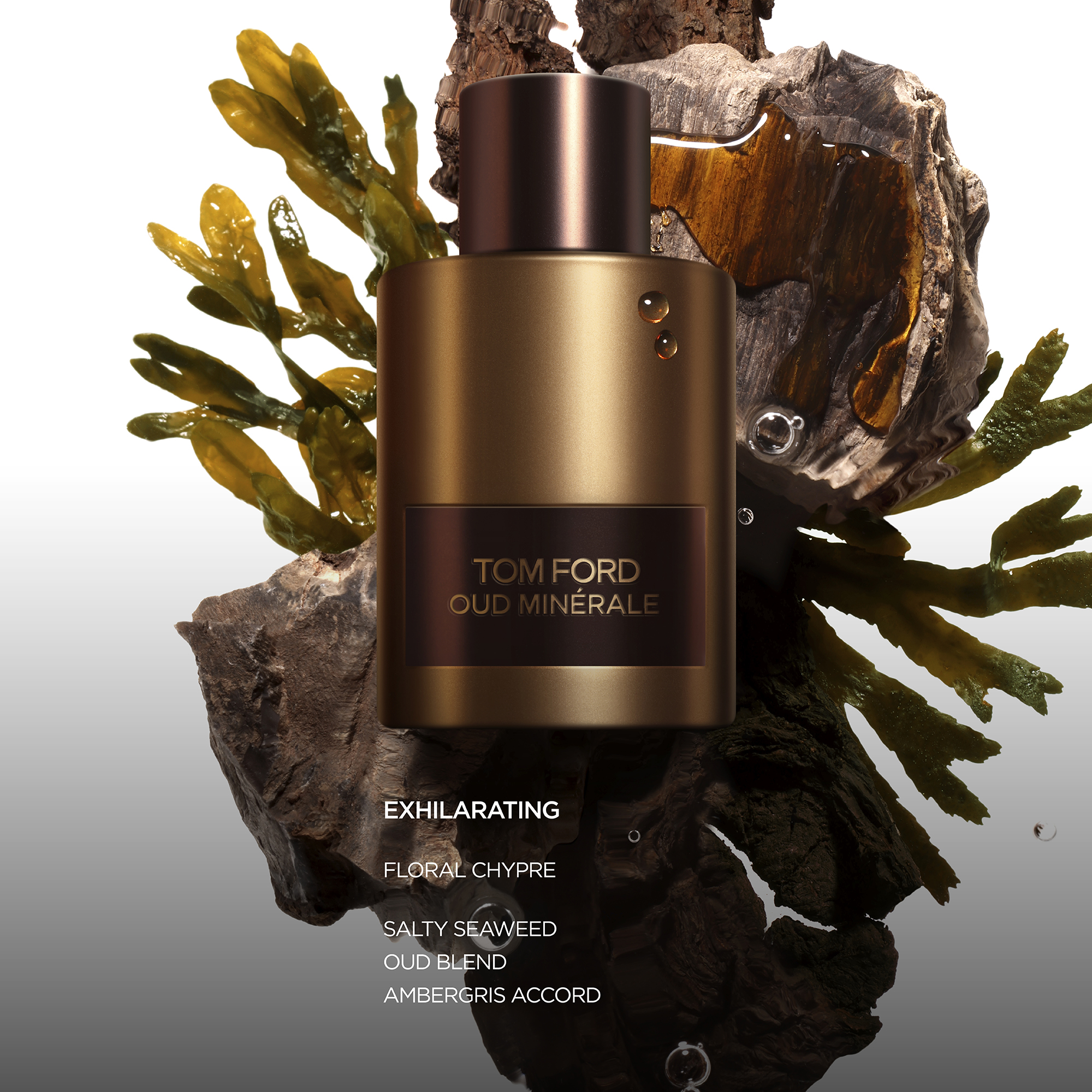 Oud Minerale EDP